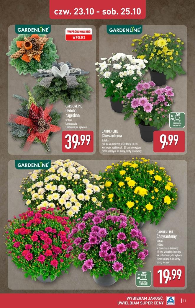 Gazetka promocyjna ALDI str. 11