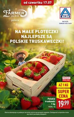Aldi truskawki