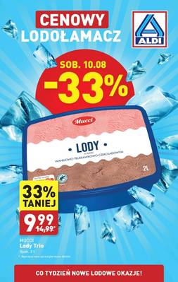 Aldi lodołamacz