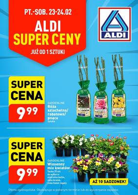 Aldi kwiaty