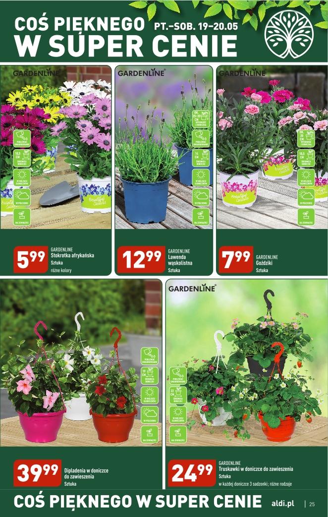 Gazetka promocyjna ALDI str. 25
