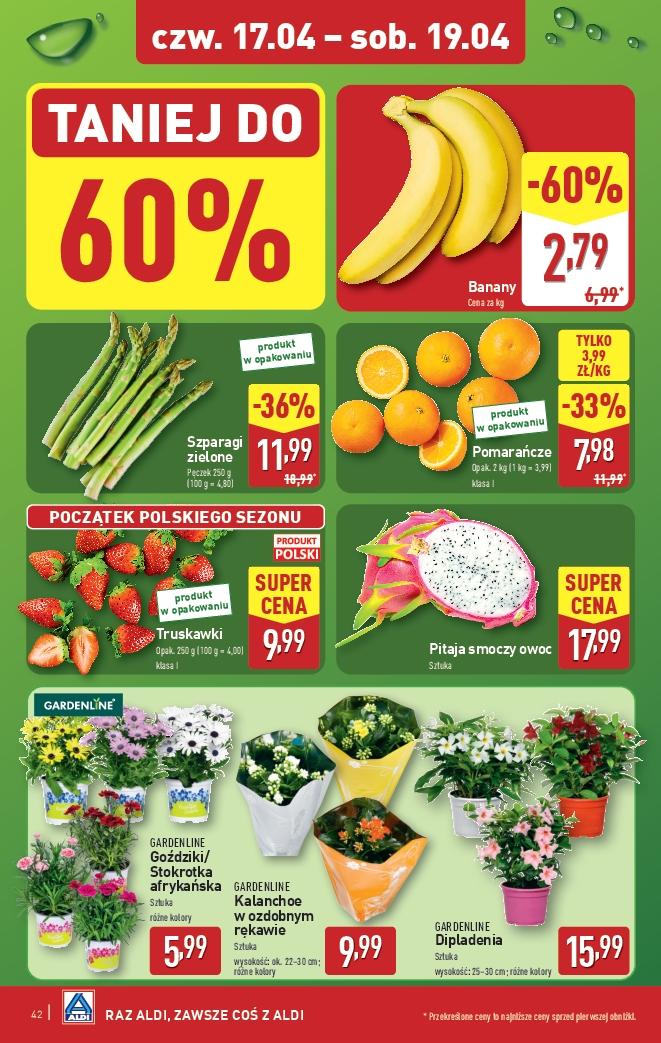 Gazetka promocyjna ALDI str. 42