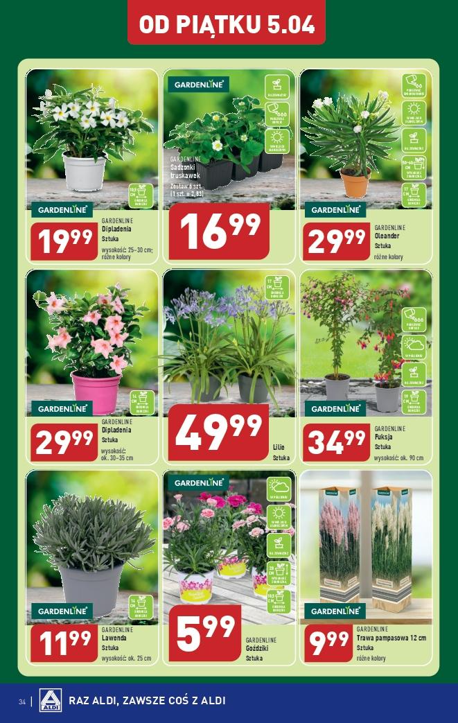 Gazetka promocyjna ALDI str. 34