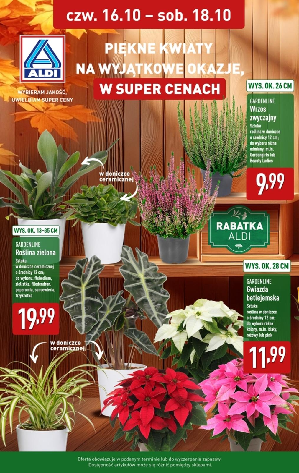 Gazetka promocyjna ALDI str. 1