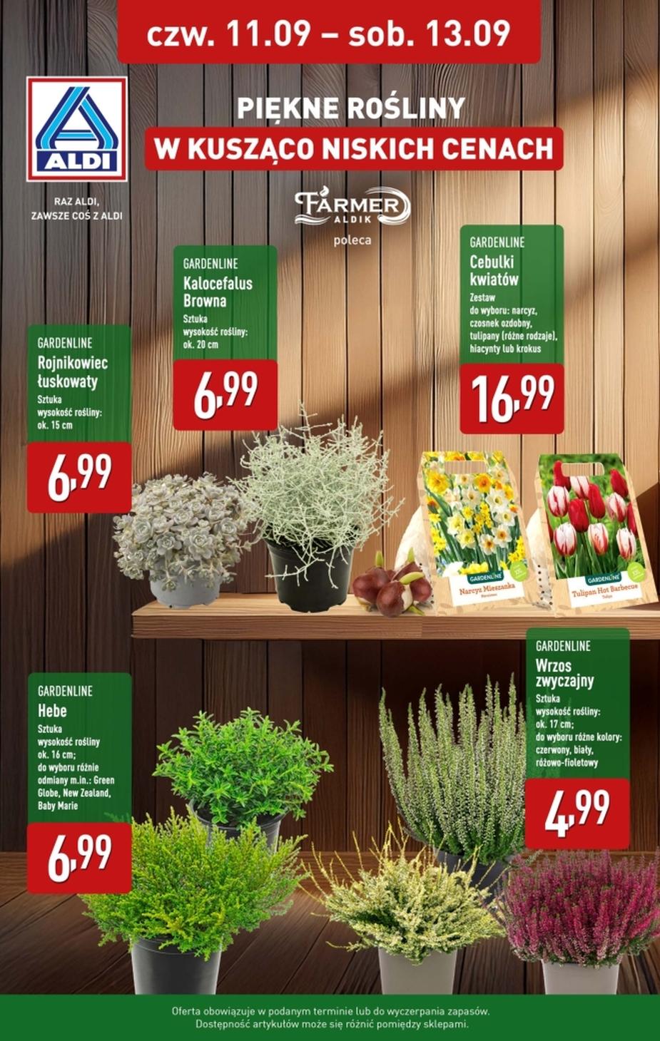 Gazetka promocyjna ALDI str. 1