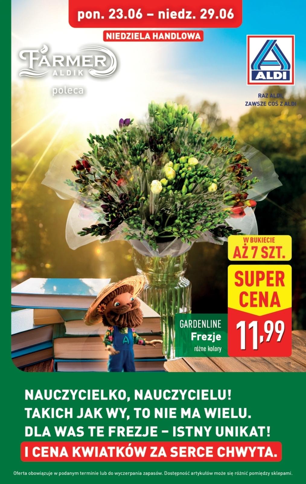 Gazetka promocyjna ALDI str. 14