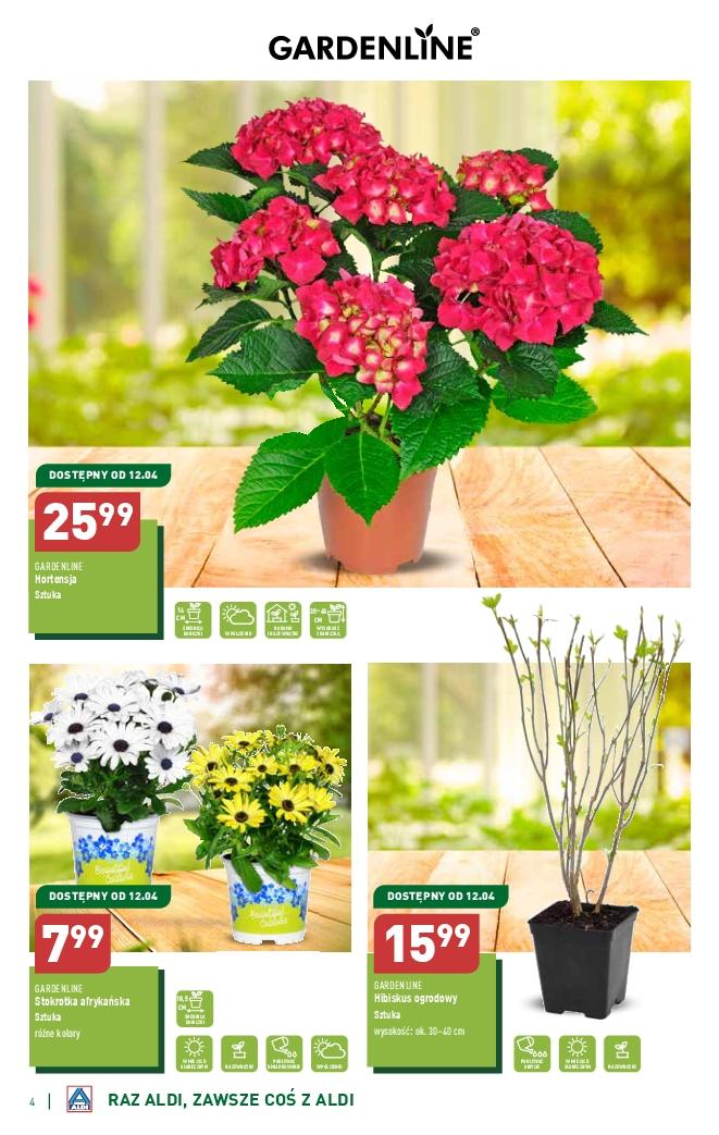 Gazetka promocyjna ALDI str. 4