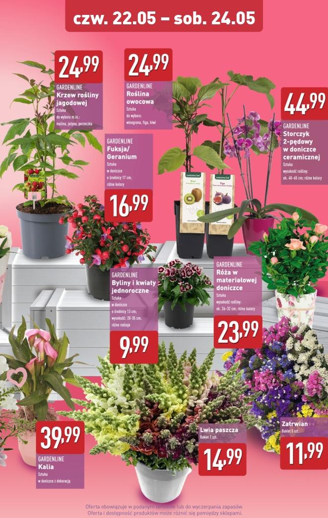 Gazetka promocyjna ALDI str. 9