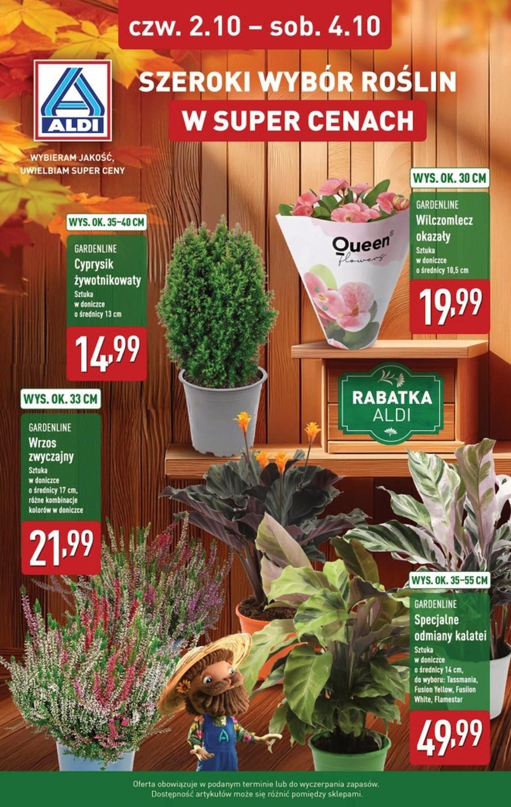Gazetka promocyjna ALDI str. 7