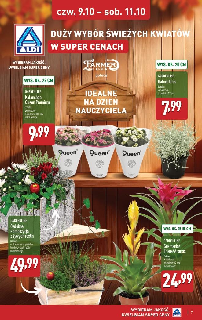 Gazetka promocyjna ALDI str. 7