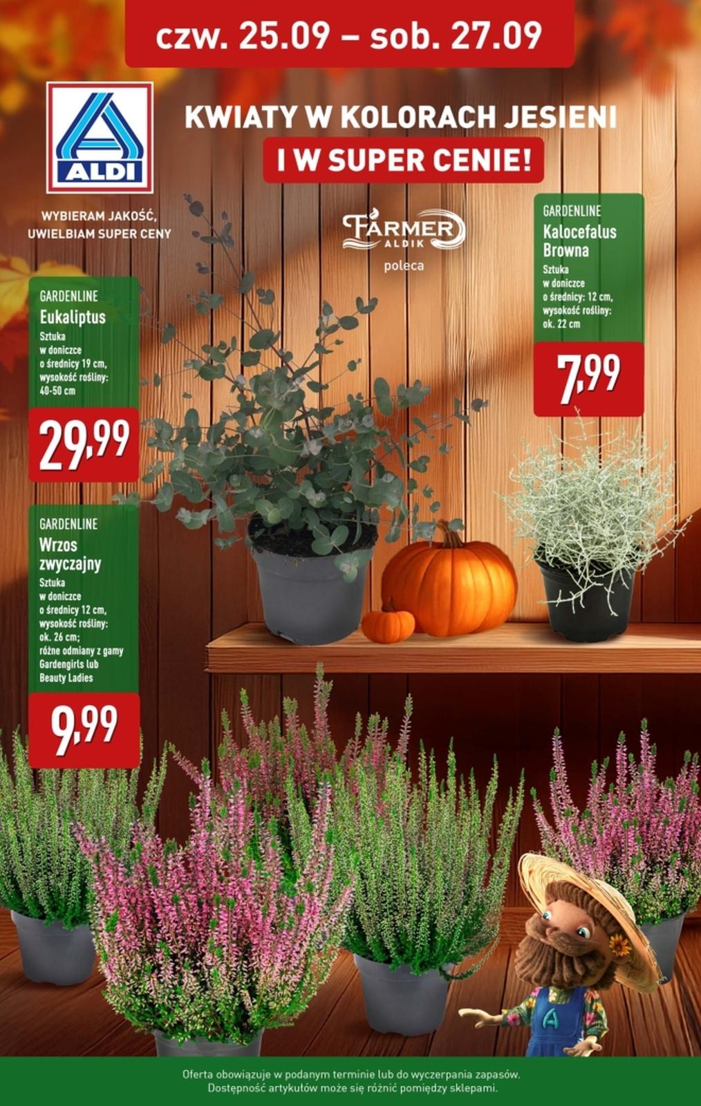 Gazetka promocyjna ALDI str. 1