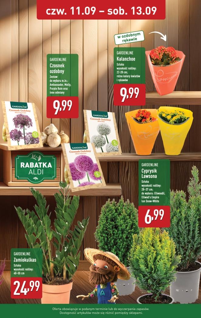 Gazetka promocyjna ALDI str. 9