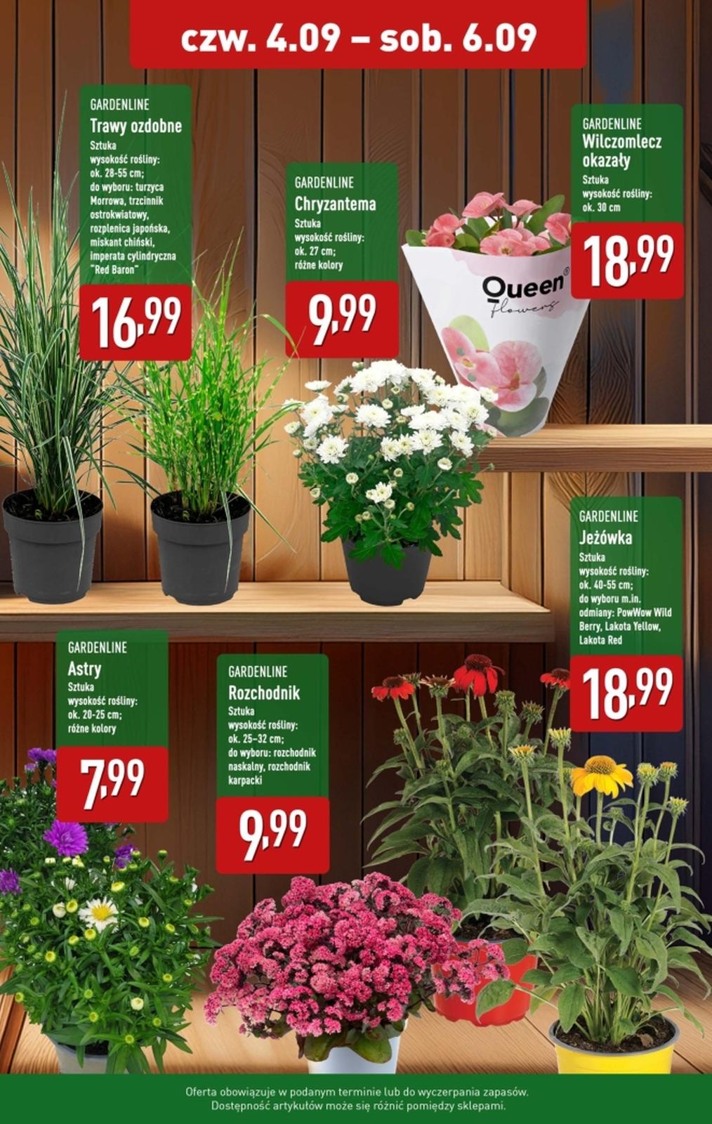 Gazetka promocyjna ALDI str. 2