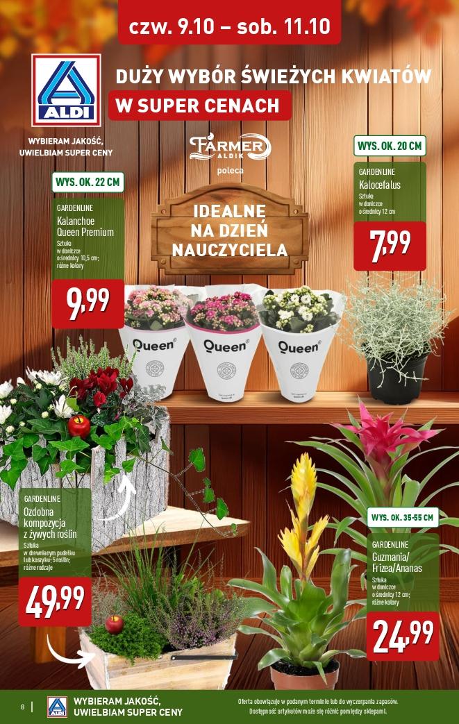 Gazetka promocyjna ALDI str. 8