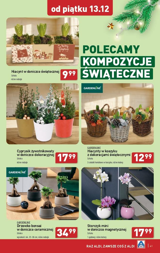 Gazetka promocyjna ALDI str. 41