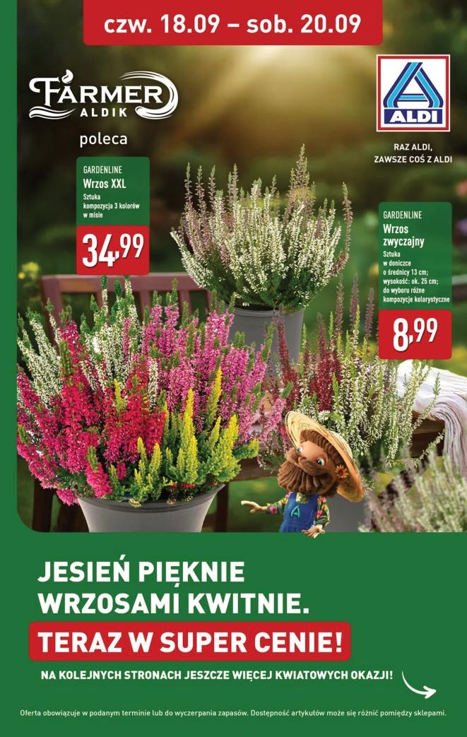 Gazetka promocyjna ALDI str. 33