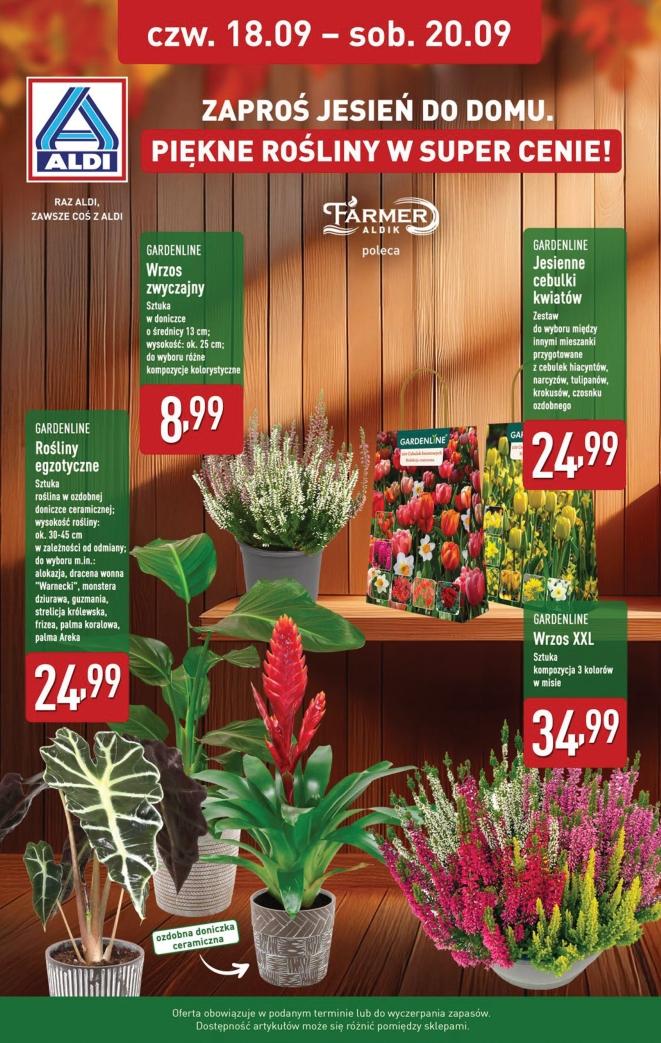 Gazetka promocyjna ALDI str. 34