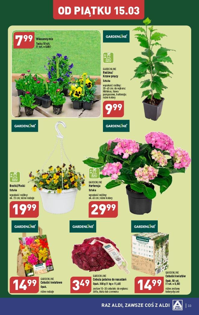 Gazetka promocyjna ALDI str. 33