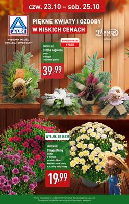 Aldi kwiaty