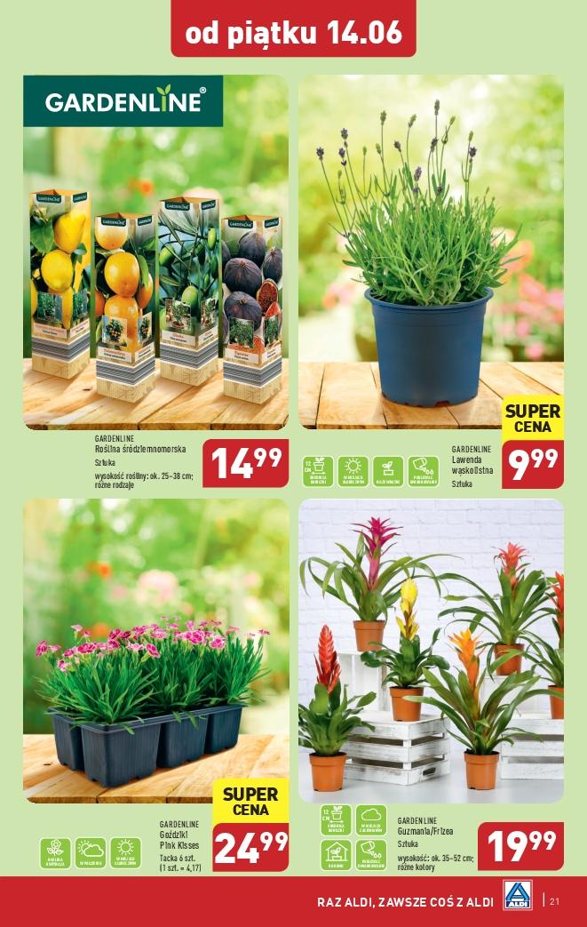 Gazetka promocyjna ALDI str. 21
