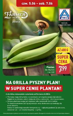 Aldi planton 