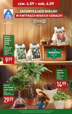 Aldi kwiaty 