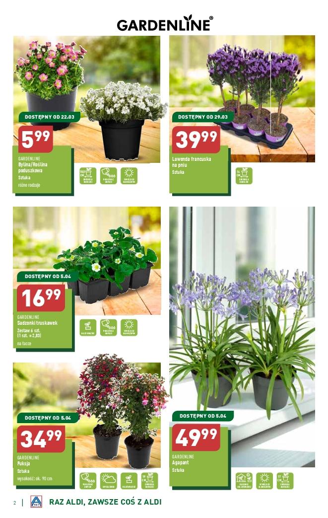 Gazetka promocyjna ALDI str. 2