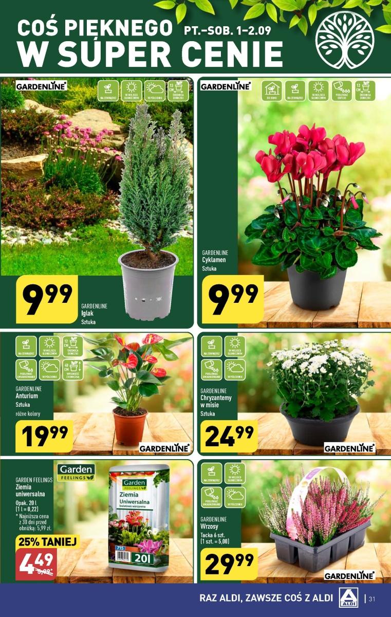 Gazetka promocyjna ALDI str. 31