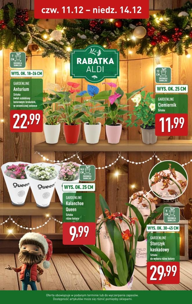 Gazetka promocyjna ALDI str. 39