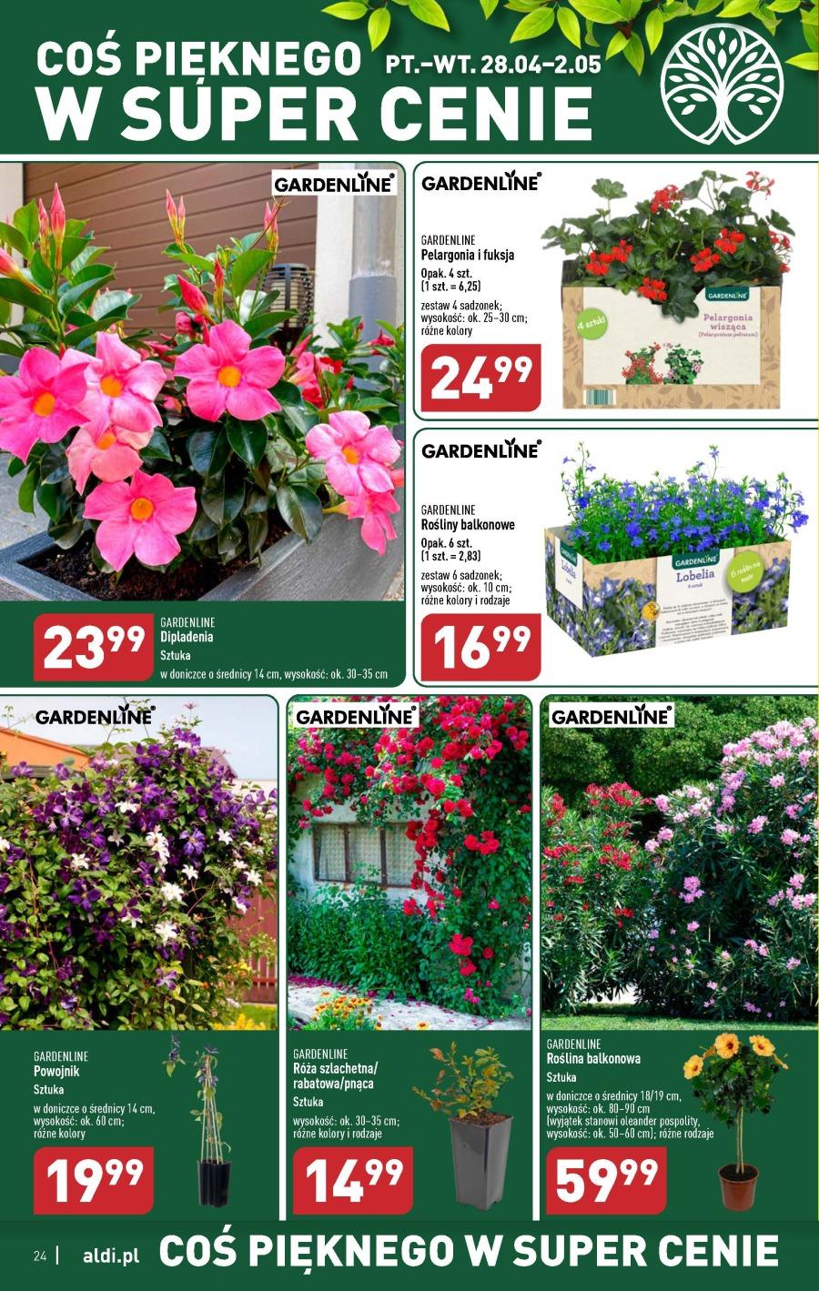 Gazetka promocyjna ALDI str. 24