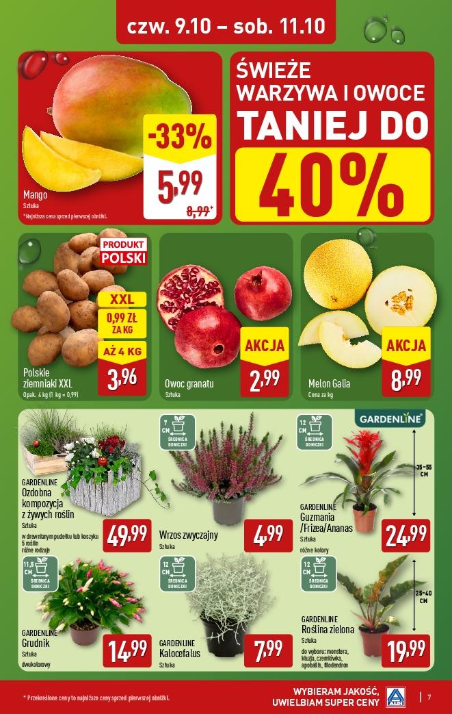 Gazetka promocyjna ALDI str. 7