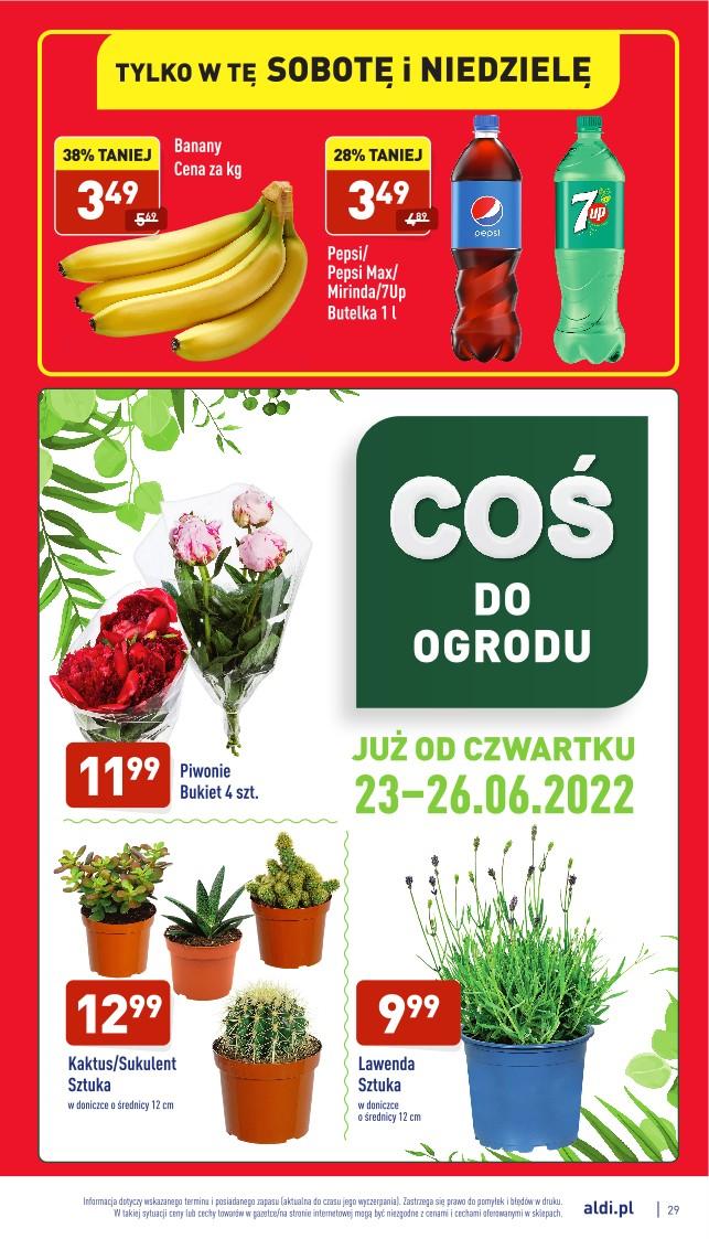 Gazetka promocyjna ALDI str. 29