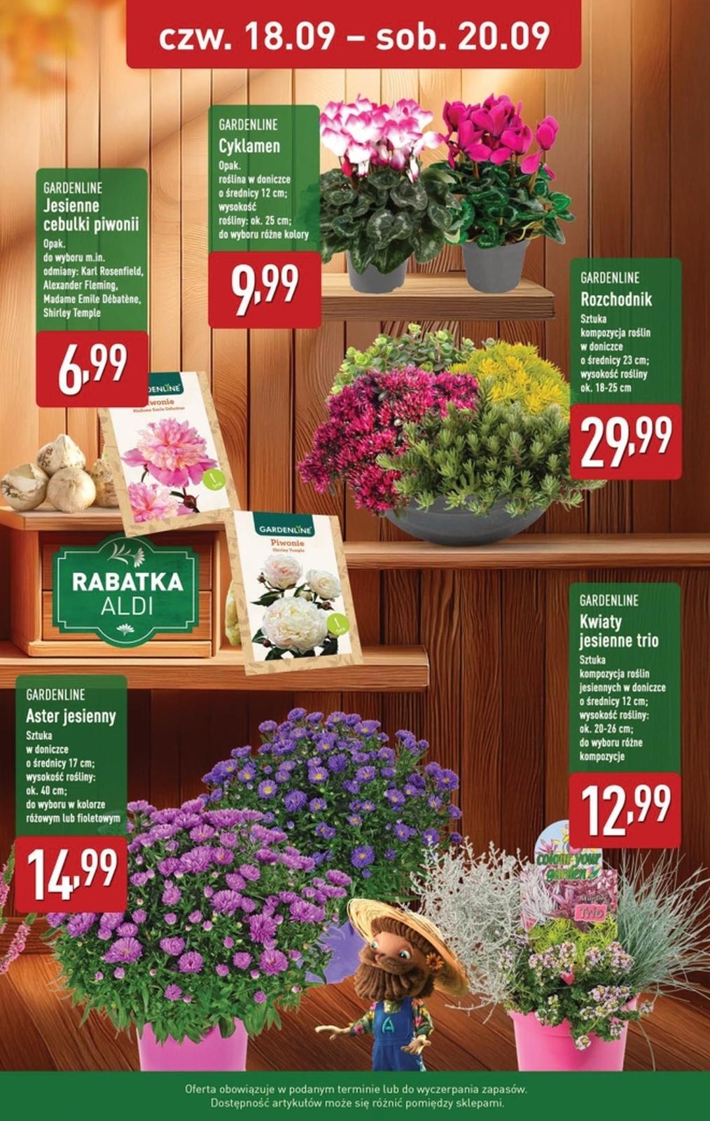 Gazetka promocyjna ALDI str. 12
