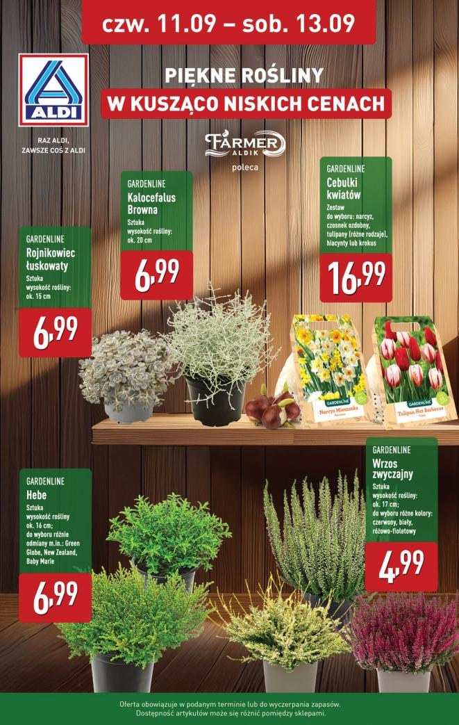 Gazetka promocyjna ALDI str. 8