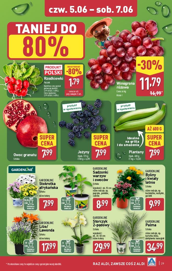 Gazetka promocyjna ALDI str. 29