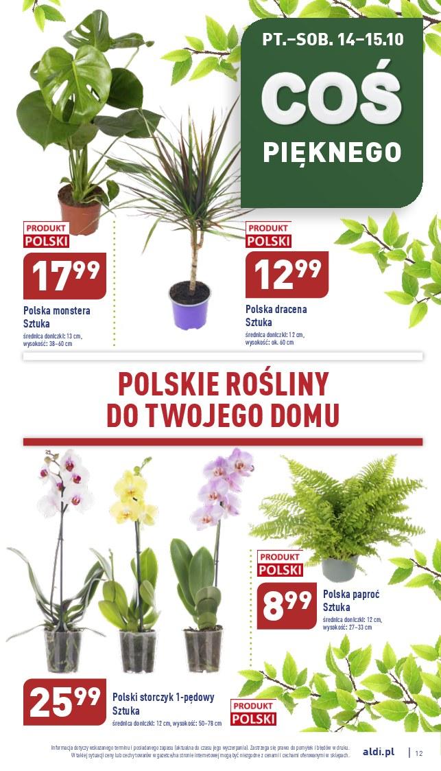 Gazetka promocyjna ALDI str. 13