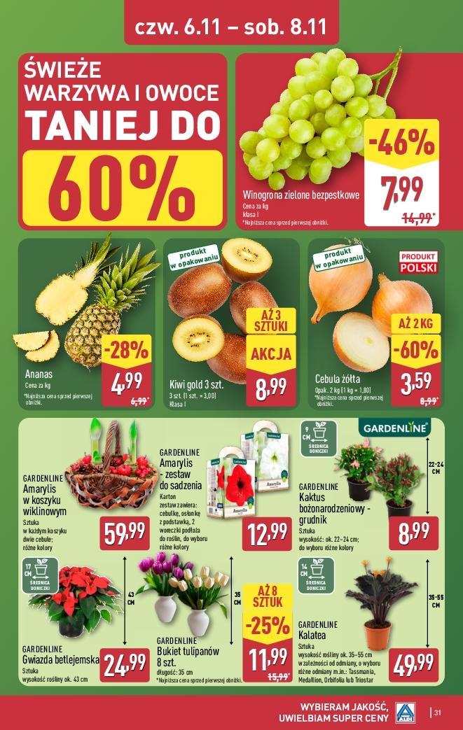 Gazetka promocyjna ALDI str. 31