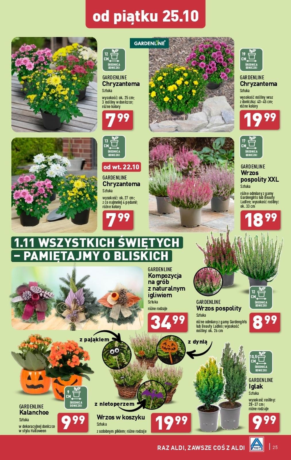 Gazetka promocyjna ALDI str. 25