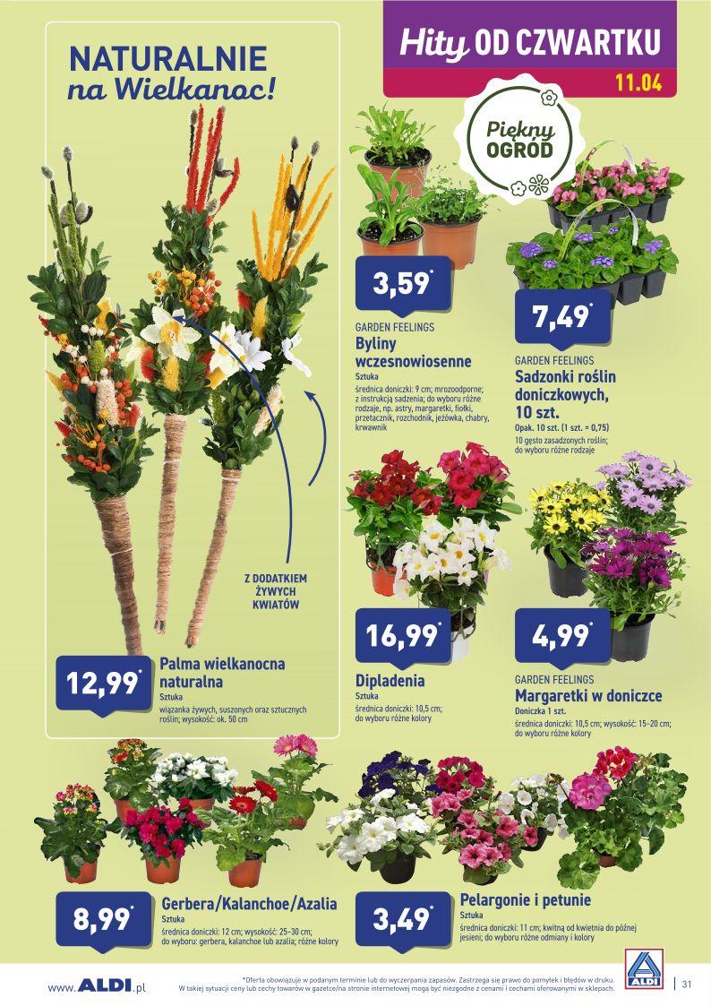 Gazetka promocyjna ALDI str. 31