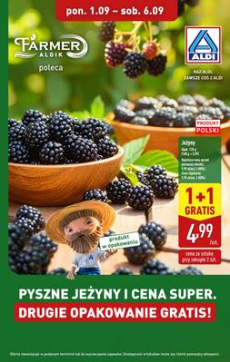 Aldi jeżyny 