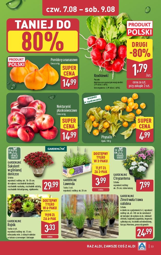 Gazetka promocyjna ALDI str. 33