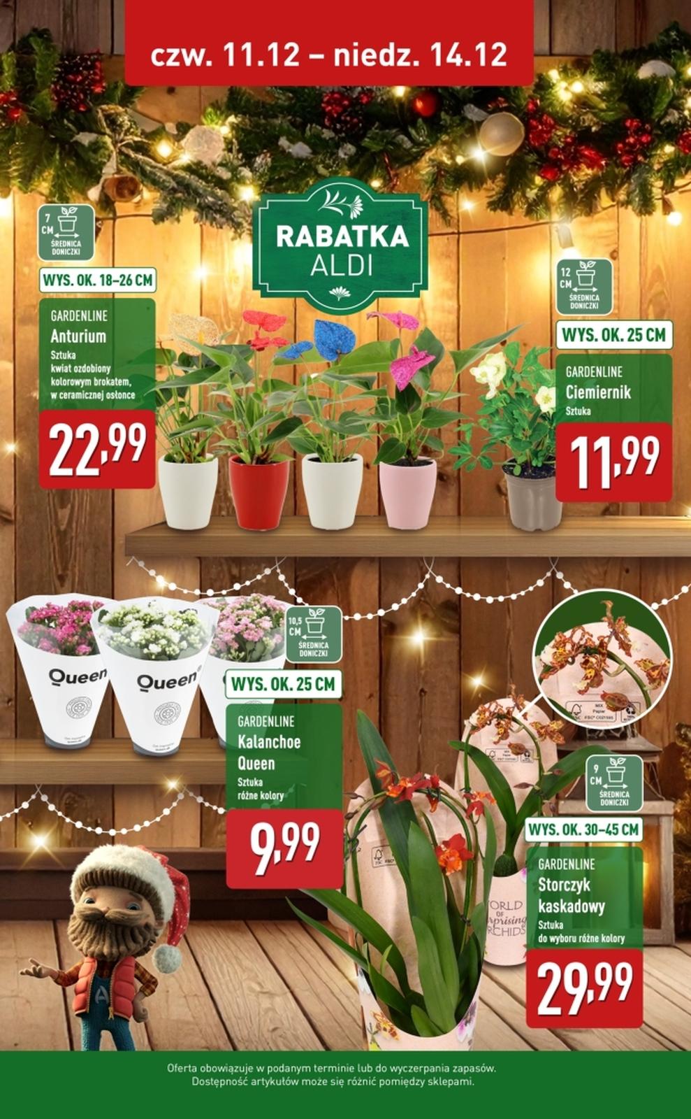Gazetka promocyjna ALDI str. 2