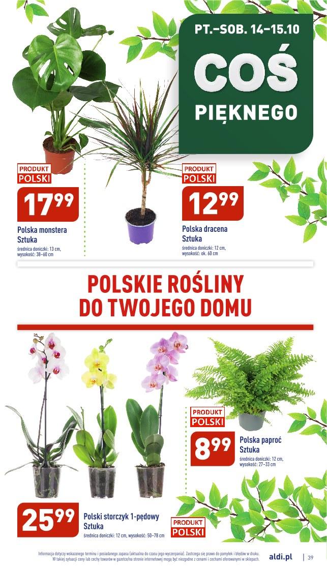 Gazetka promocyjna ALDI str. 39