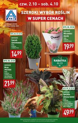 Aldi kwiaty