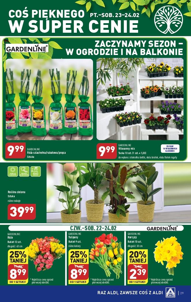 Gazetka promocyjna ALDI str. 29