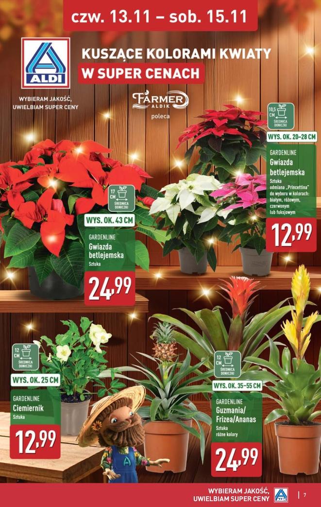 Gazetka promocyjna ALDI str. 7
