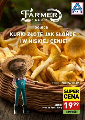Aldi Kurki