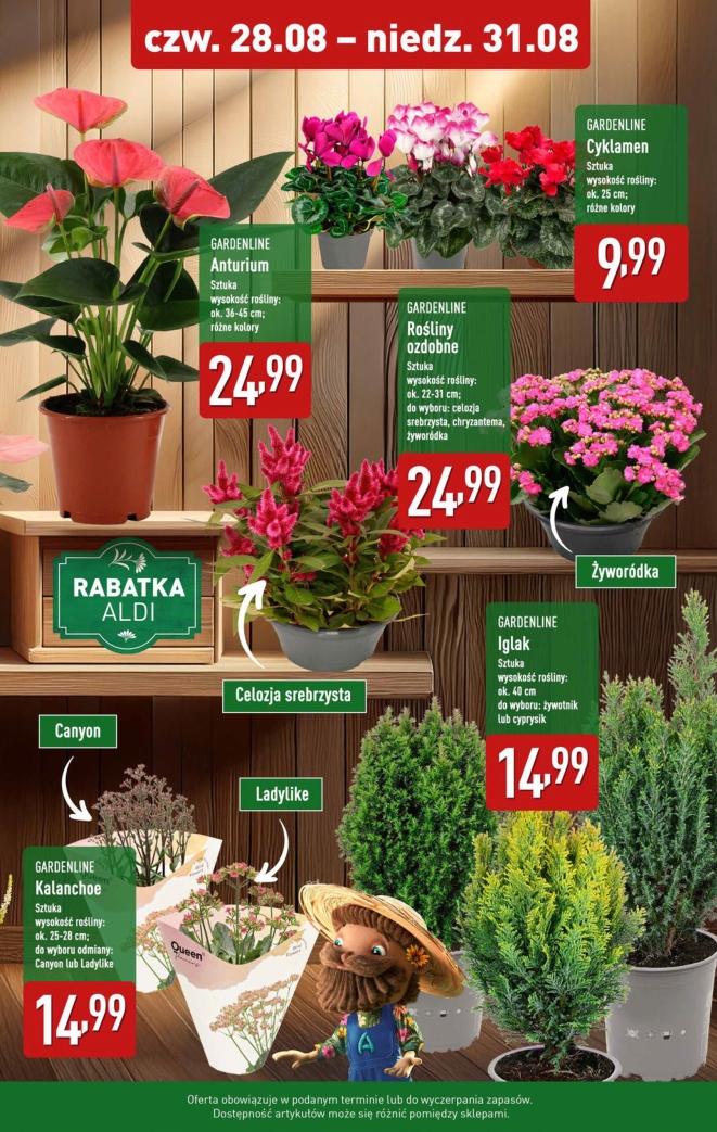 Gazetka promocyjna ALDI str. 9