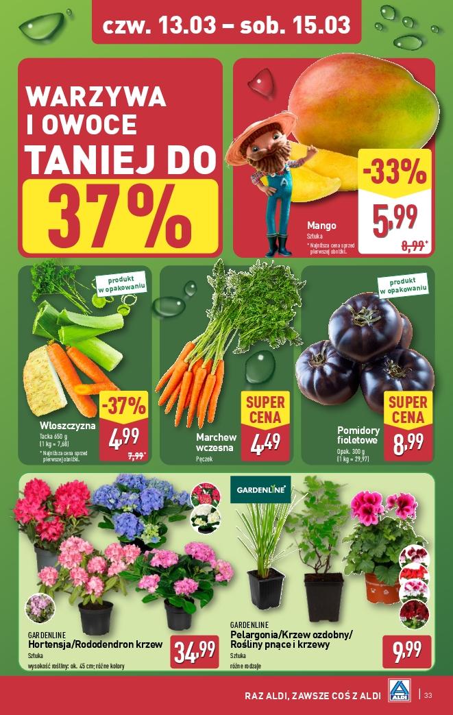 Gazetka promocyjna ALDI str. 33