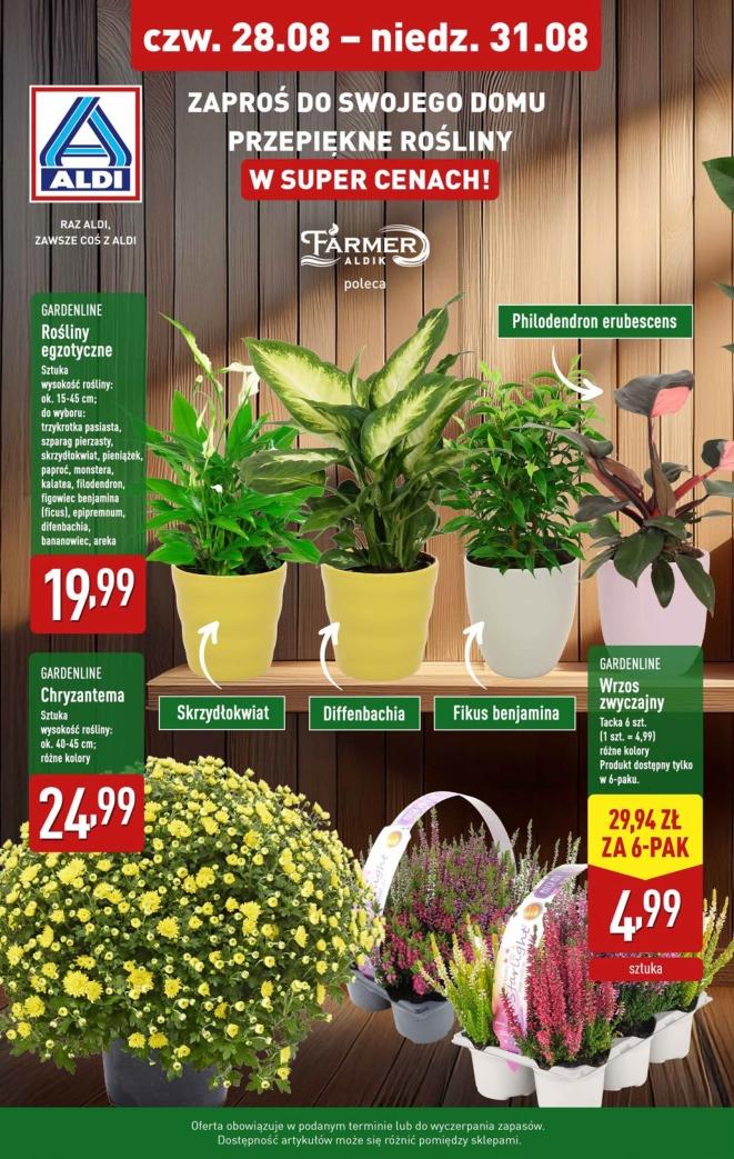 Gazetka promocyjna ALDI str. 8